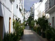 bild02 bild02