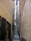 bild12 bild12