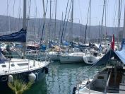 bild11 bild11