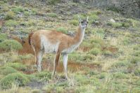 bild54 bild54