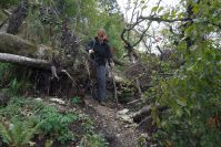 bild07 bild07