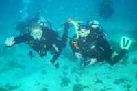 bild08 bild08