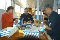 bild17 bild17