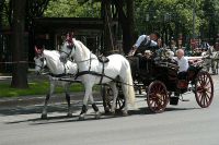 bild20 bild20