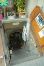 bild11 bild11