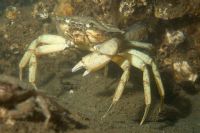 bild03 bild03