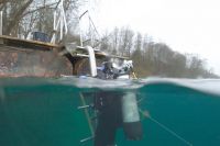 bild09 bild09